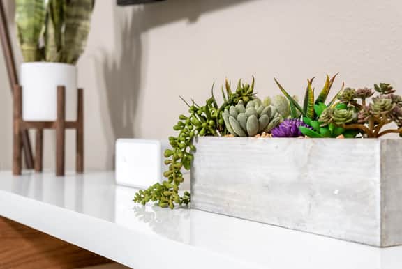 Urban Bohemian Hideaway Centrally Located - Image 5